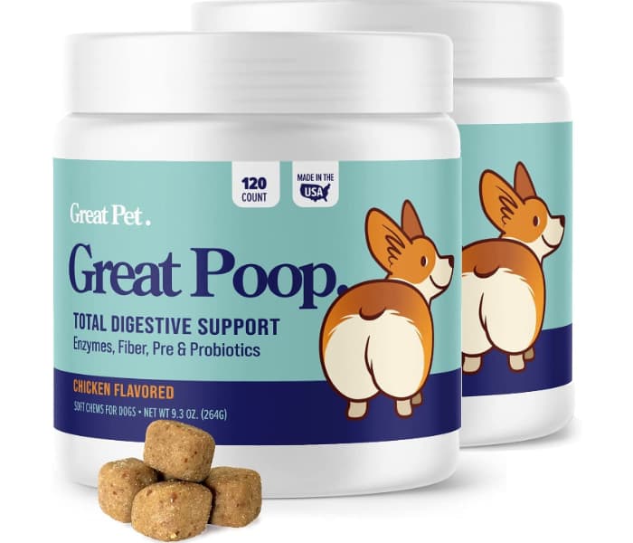 immunity dog supplements for dogs