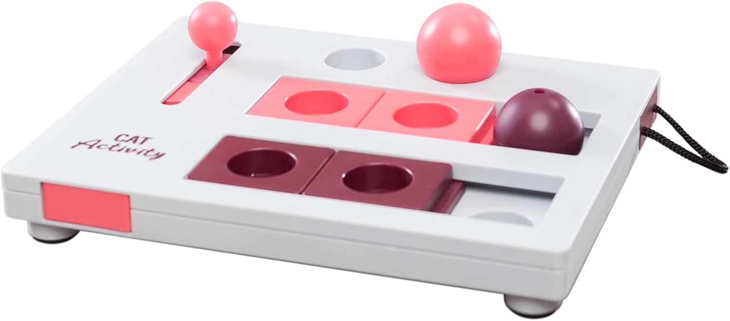 Trixie Brain Mover Strategy Game