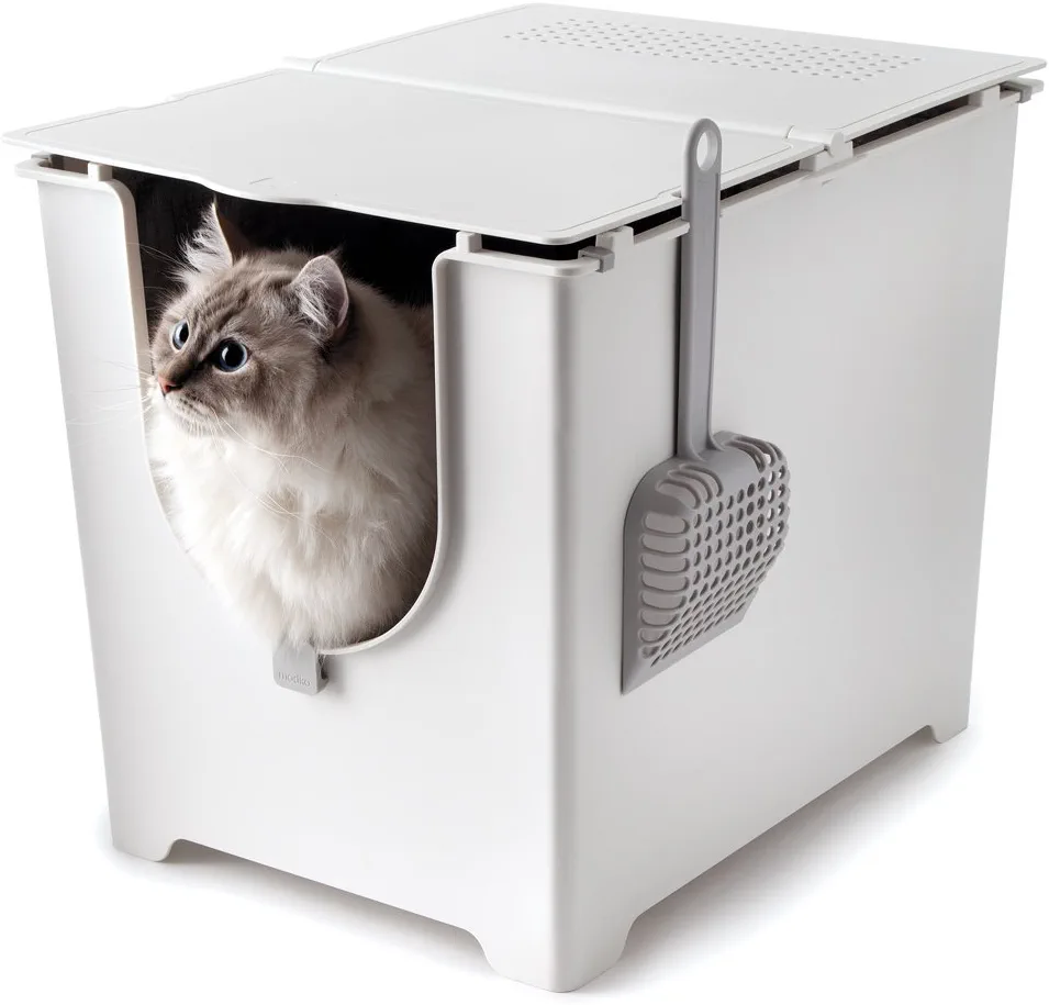 Cat peeks out of litter box