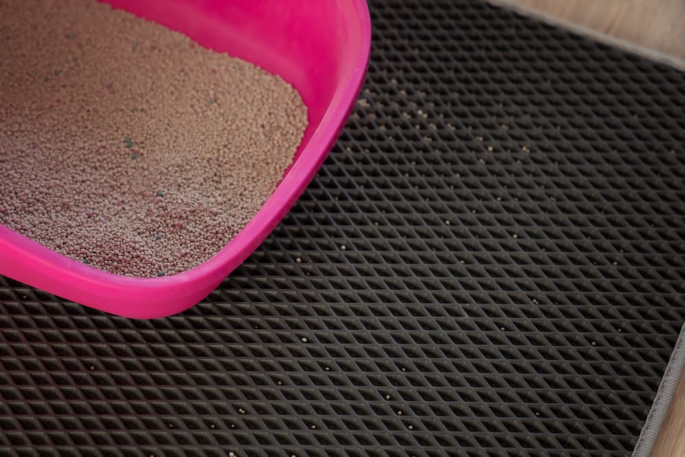 Close up of cat litter box