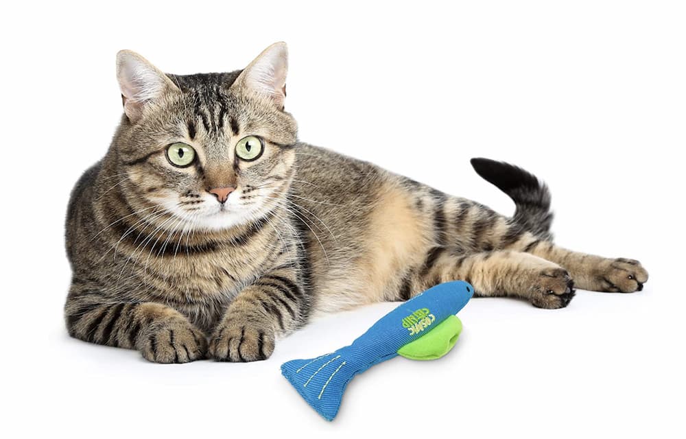 OurPets Fish Kicker Cat Toy
