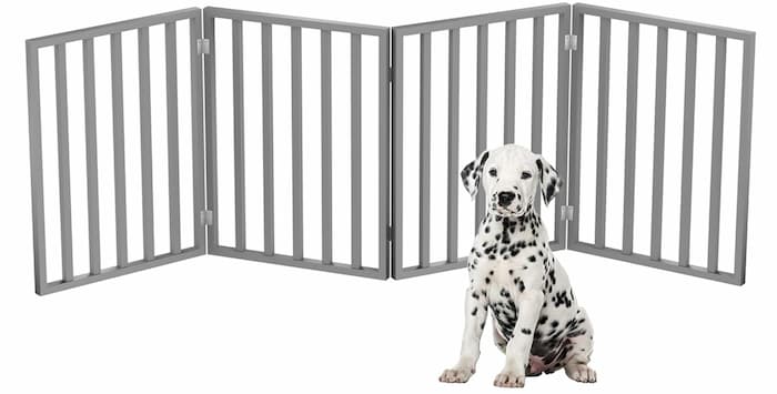 Dog sitting by a gate