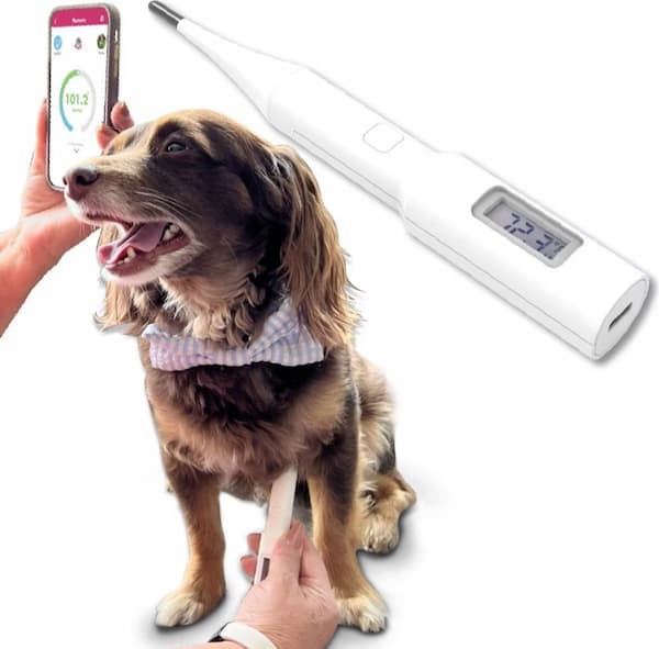 Mella pet thermometer