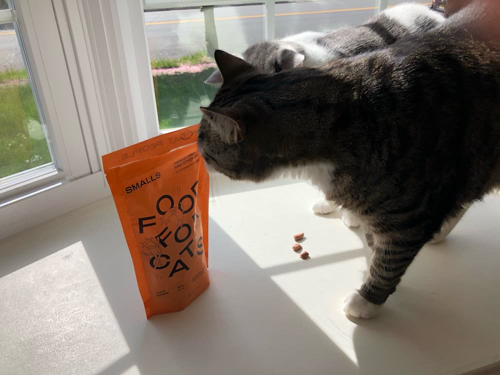 Sweet feline sniffs a bag of Smalls cat food